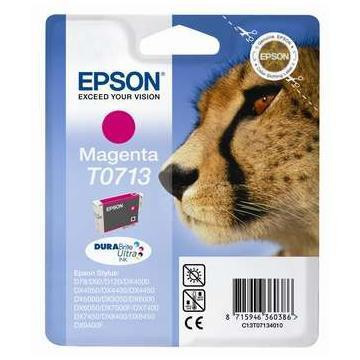 Epson T071340